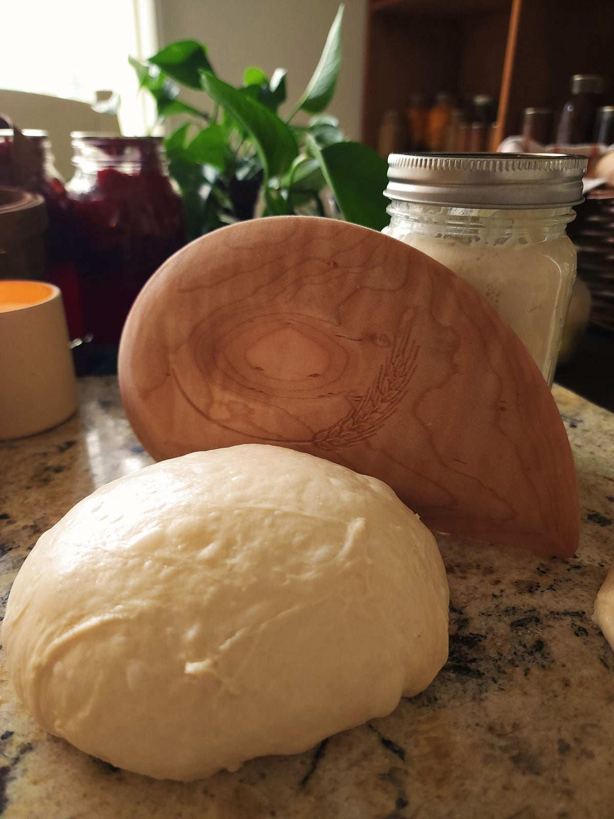 Cherry wooden bench scraper ball of dough on a kitchen counter with jars and a plant in the background.